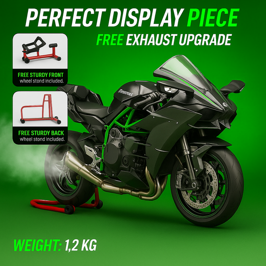 Carvixo™ 1:6 Kawasaki Ninja H2R